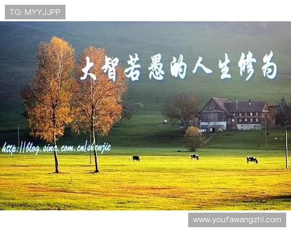 飞驰中的笑声与泪水，交织成生命最动人的篇章
